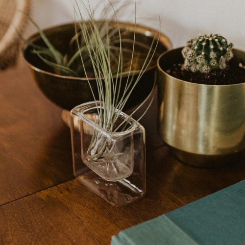a plant in a pot on a dresser near a book